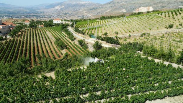 Château Khoury - Image 1